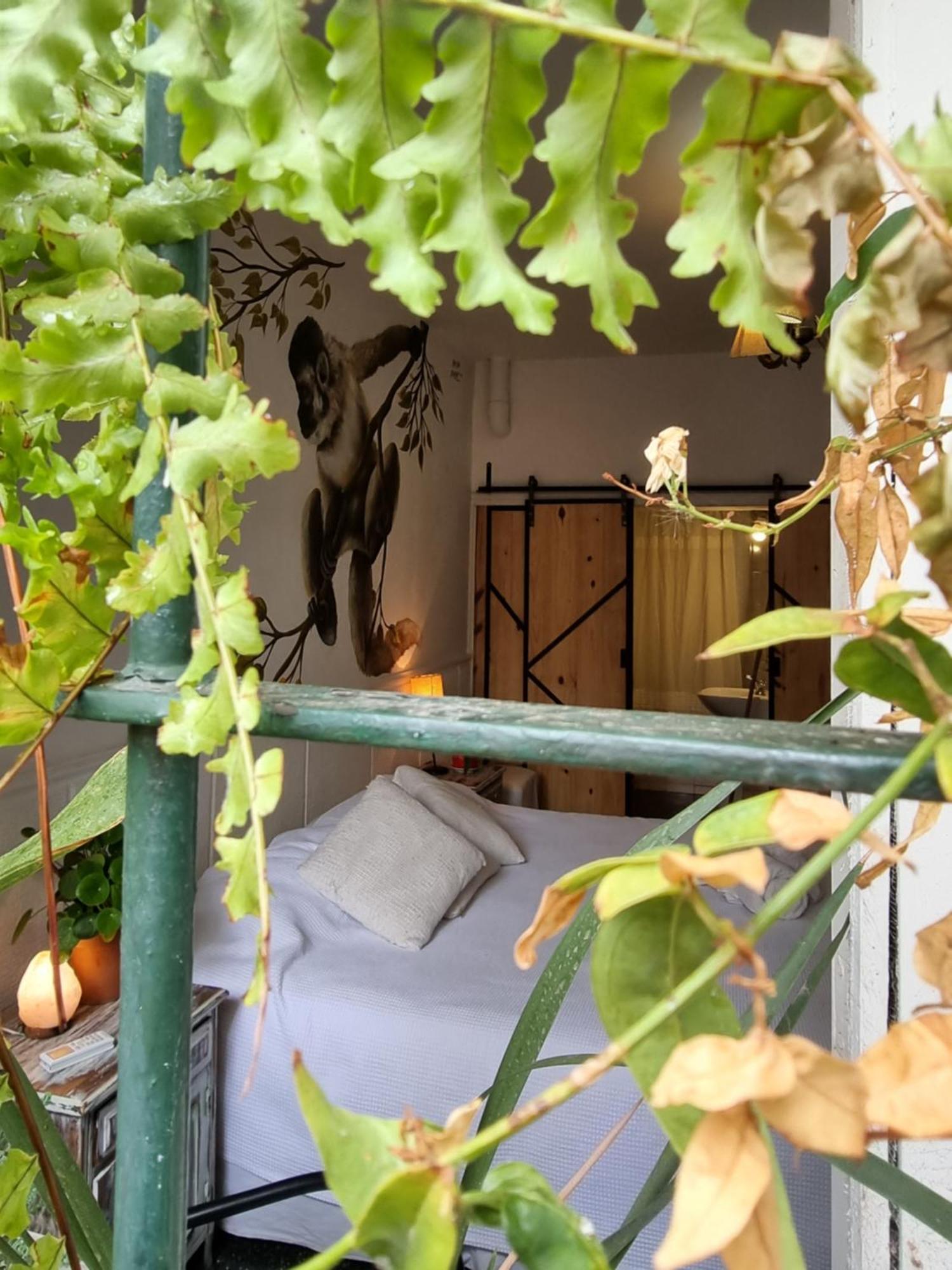 Yunga Hostel Salta Room photo